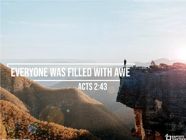 everyone was filled with awe -