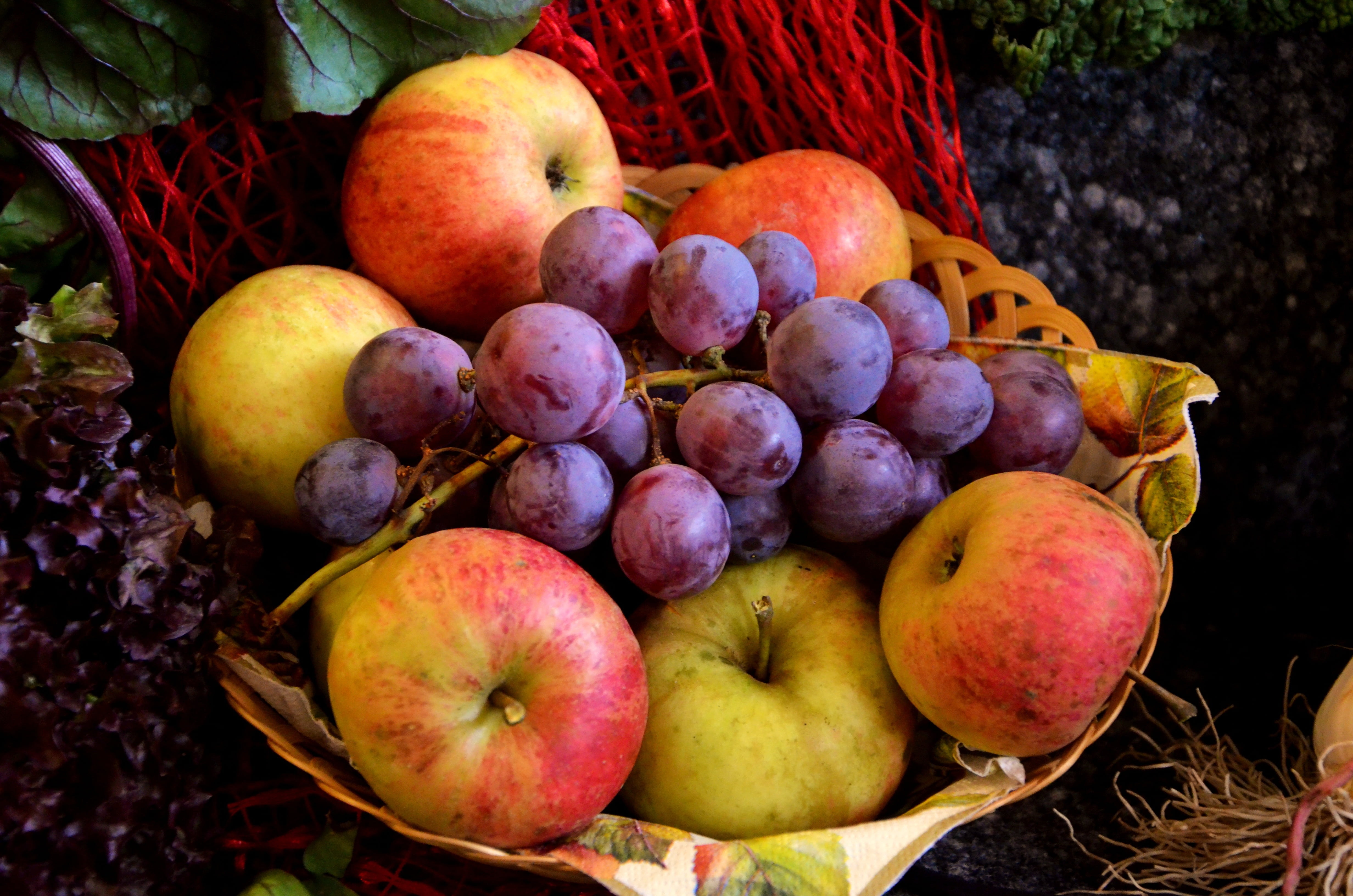 fruit bowl - creative commons